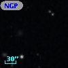 NGPFG 17028