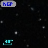 NGPFG 16699