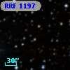 RRF 1197