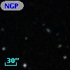 NGPFG 16697