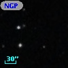 NGPFG 16196