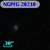 NGPFG 20210