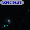 NGPFG 20165