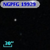 NGPFG 19929