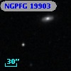NGPFG 19903