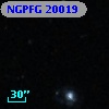 NGPFG 20019
