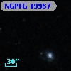 NGPFG 19987