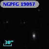 NGPFG 19087