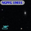 NGPFG 19031