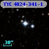 TYC 4024-341-1
