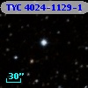 TYC 4024-1129-1