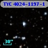 TYC 4024-1197-1