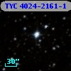 TYC 4024-2161-1