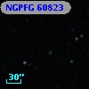 NGPFG 60823