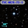 TYC 4028-73-1