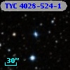 TYC 4028-524-1