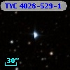 TYC 4028-529-1