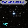 TYC 4028-536-1