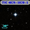 TYC 4028-1020-1