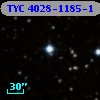 TYC 4028-1185-1