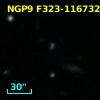 NGP9 F323-1167321