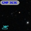 GMP 3636