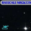 RASSCALS NRGb229