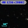 4W 1256+28W02