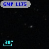 GMP 1175