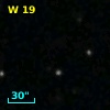 W 19