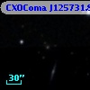 CXOComa J125731.86+272313.1