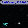 CXOComa J125803.23+272306.5