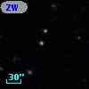 ZW VIII 221