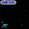 GMP  828