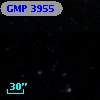 GMP 3955