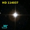 HD 114037