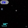 ZW VIII 226