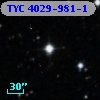 TYC 4029-981-1
