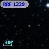 RRF 1229