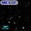 RRF 1237