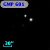 GMP  601