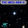 TYC 4025-604-1