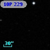 10P 229