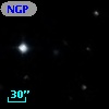 NGP9 F379-0625164