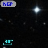 NGP9 F379-0398132