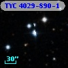 TYC 4029-890-1