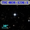 TYC 4038-1236-1