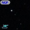 NGP9 F379-0480449