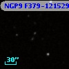 NGP9 F379-1215293
