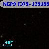 NGP9 F379-1281889